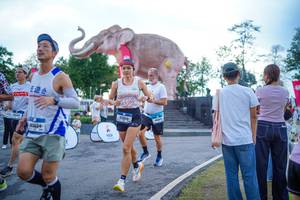 BIB: 
                            <button type="button" onclick="openModal(26551651)" class="btn btn-primary btn-sm float-right btn-popup" data-toggle="modal" data-target=".modal-high-quality">
                        <i class="fas fa-shopping-cart"></i> Add to Cart
                    </button>
                                            <button type="button" onclick="isThisMe(26551651, true)" class="btn btn-success btn-sm float-right btn-popup btn-isme hidden" data-toggle="tooltip" data-placement="bottom" title="นี่คือรูปของคุณใช่ไหม คลิกที่นี่เพื่อเอาเข้าอัลบั้ม">
                        <i class="fas fa-plus"></i> Add to album
                    </button>
                    <button type="button" onclick="isThisMe(26551651, false)" class="btn btn-warning btn-sm float-right btn-popup btn-isnotme hidden">
                        <i class="fas fa-ban"></i> Remove from album
                    </button>